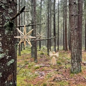 550230 Stjärna i halm, guld 11 cm.